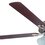 Ventilador de Cielo Classic Plus 52 pulg Níquel Cepillado