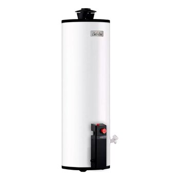 Calentador de Depósito Calorex Gas Natural 103 l