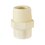 Conector CPVC Rosca Exterior 19 mm ¾