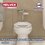 Fluxómetro Electrónico 4.8 L WC Helvex 110 Cromo FC-110-WC-4.8
