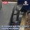 Mortero Estabilizador 30 kg Festergrout NM 800