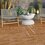 Piso Zenwood brown Daltile 45x45 cm GZW1