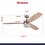 Ventilador De Techo Eliseo Coolfan Luz Led Control Cadena