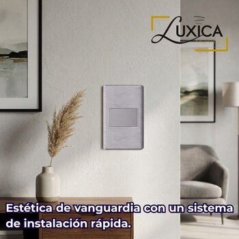 Placa Ciega Color Plata Luxica