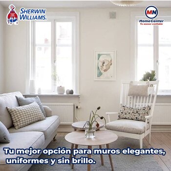 Pintura Vinil Acrlica Mate Professional Deep 19 L