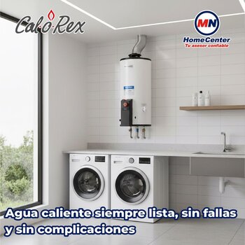 Calentador Deposito Calorex 38 L Gas Natural 1 Servicio Maximus