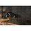 Muro Stonefort Black Daltile 34 x 45 cm