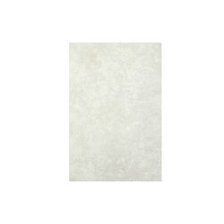 Azulejo Roma Gris Vitromex 20x30 cm