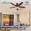 Ventilador Builder Deluxe 52 pulg Bronce nuevo Hunter