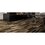 Piso Brazilian Daltile 15 x 66 cm Natural GBR2