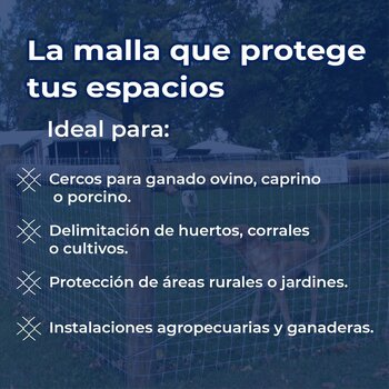 Malla Borreguera DeAcero 1.0 x 50 M Calibre 14.5