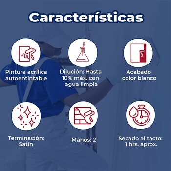 Pintura Vinil Acrilica Satinada Platinum Extra White 19 L