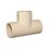 Tee CPVC 13 mm