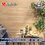 Piso Miel Sunwood Daltile 18X60 1.64M2 STD ZDM2