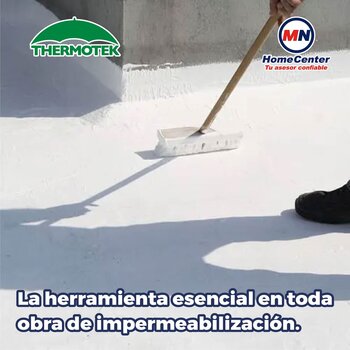 Cepillo Ixtle con Mango Thermotek