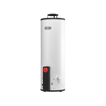 Calentador de Depósito Calorex Gas Lp 62 Lt