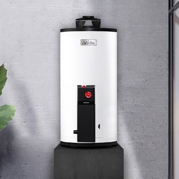 Calentador de Depósito Calorex Gas Lp 38 Lt