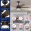 Ventilador De Techo Channelside Hunter 52 Pulg