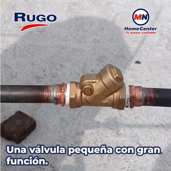 Válvula de Retención Check Tipo Columpio Rugo ½ pulgada