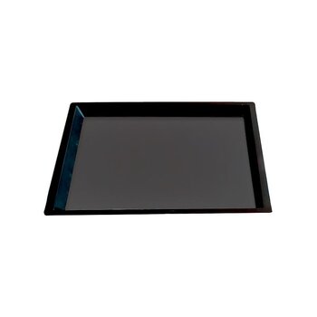 Tapete Plástico Reforzado Desinfectante 53 x 27 x 4.6 cm