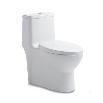 WC one piece Eros Premium Foncer