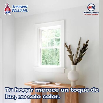 Pintura Vinil Acrílica Satinada Platinum Blanco 19 L